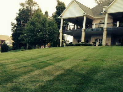 freshly mowed lawn