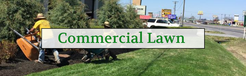 commercial lawn care