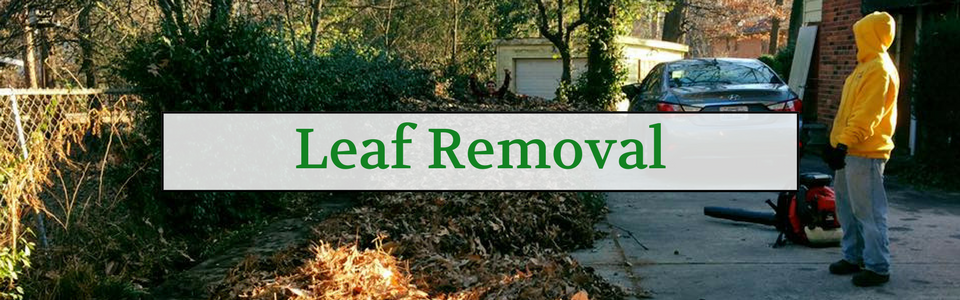 leaf removal services